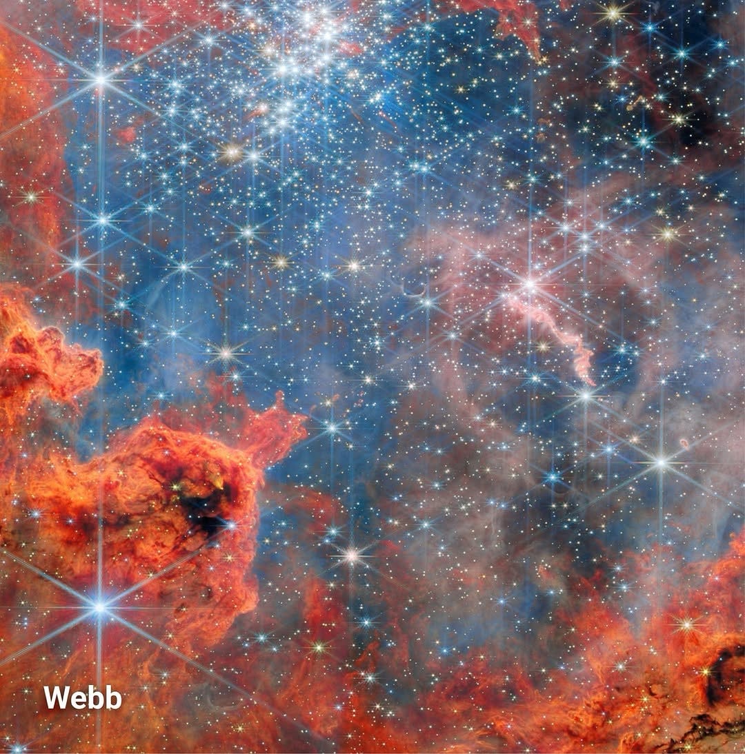Webb Reveals the Hidden Youth of Westerlund 2