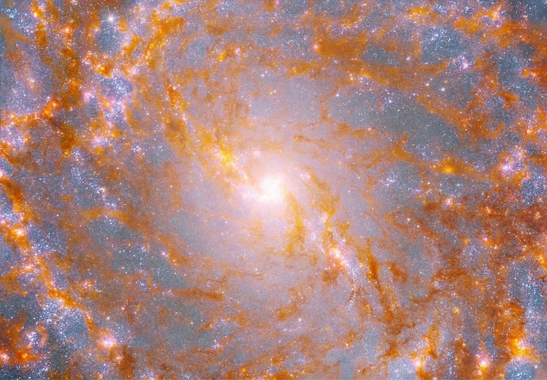 A swirly sparkly giant in our cosmic neighborhood.