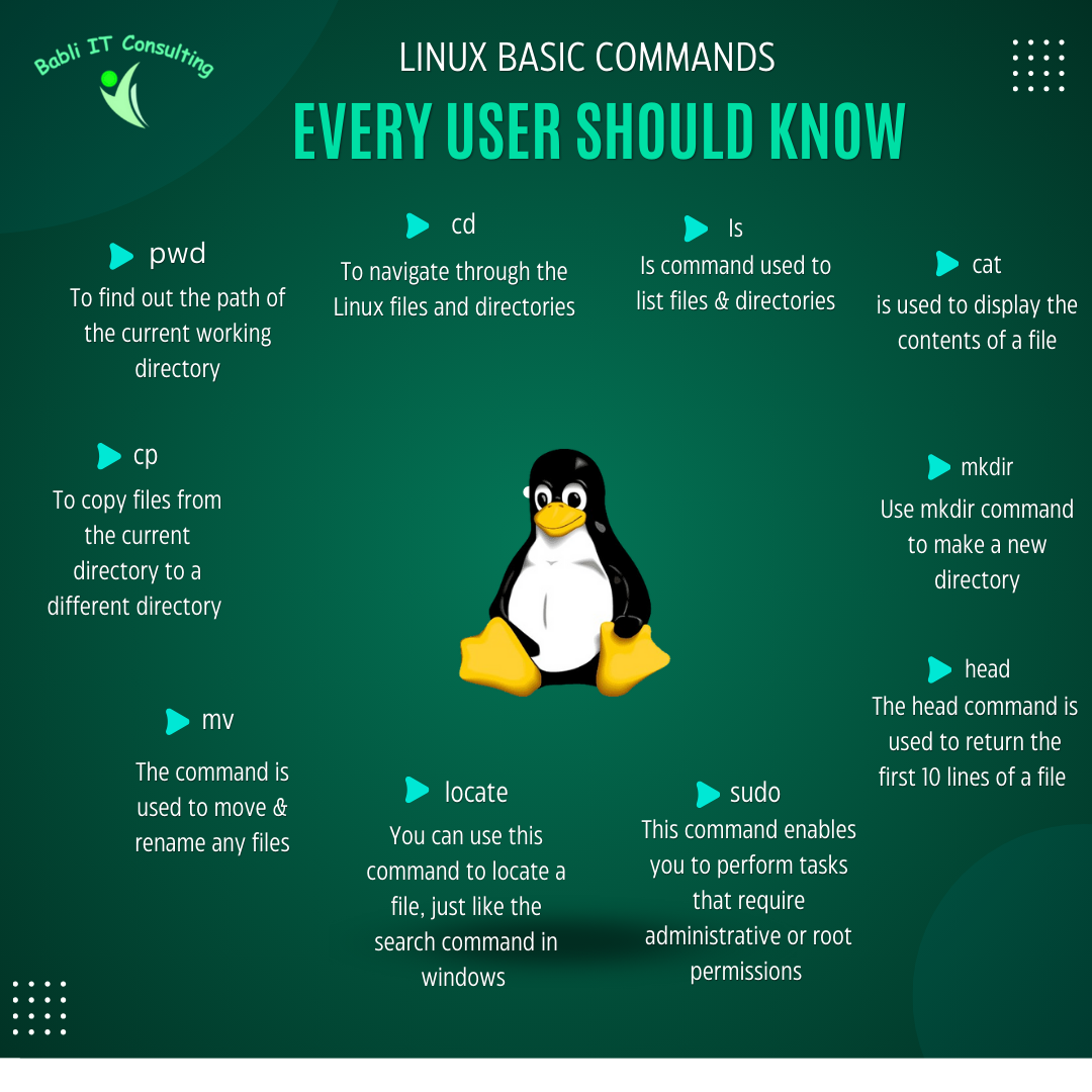LINUX basic commands every user should know!