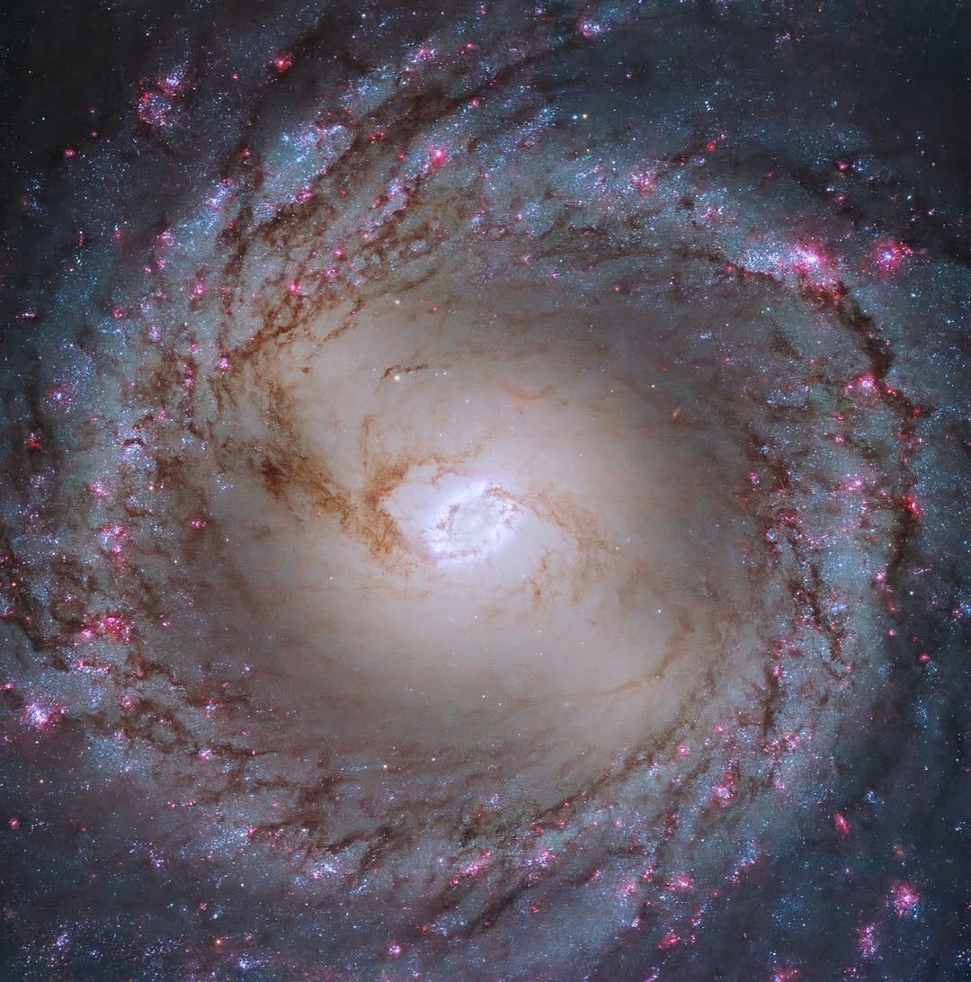 You’re looking at the home of 40 billion stars.
