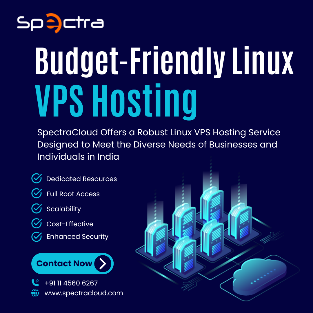 Budget-Friendly Linux VPS Hosting: Discover the Best Provider in India