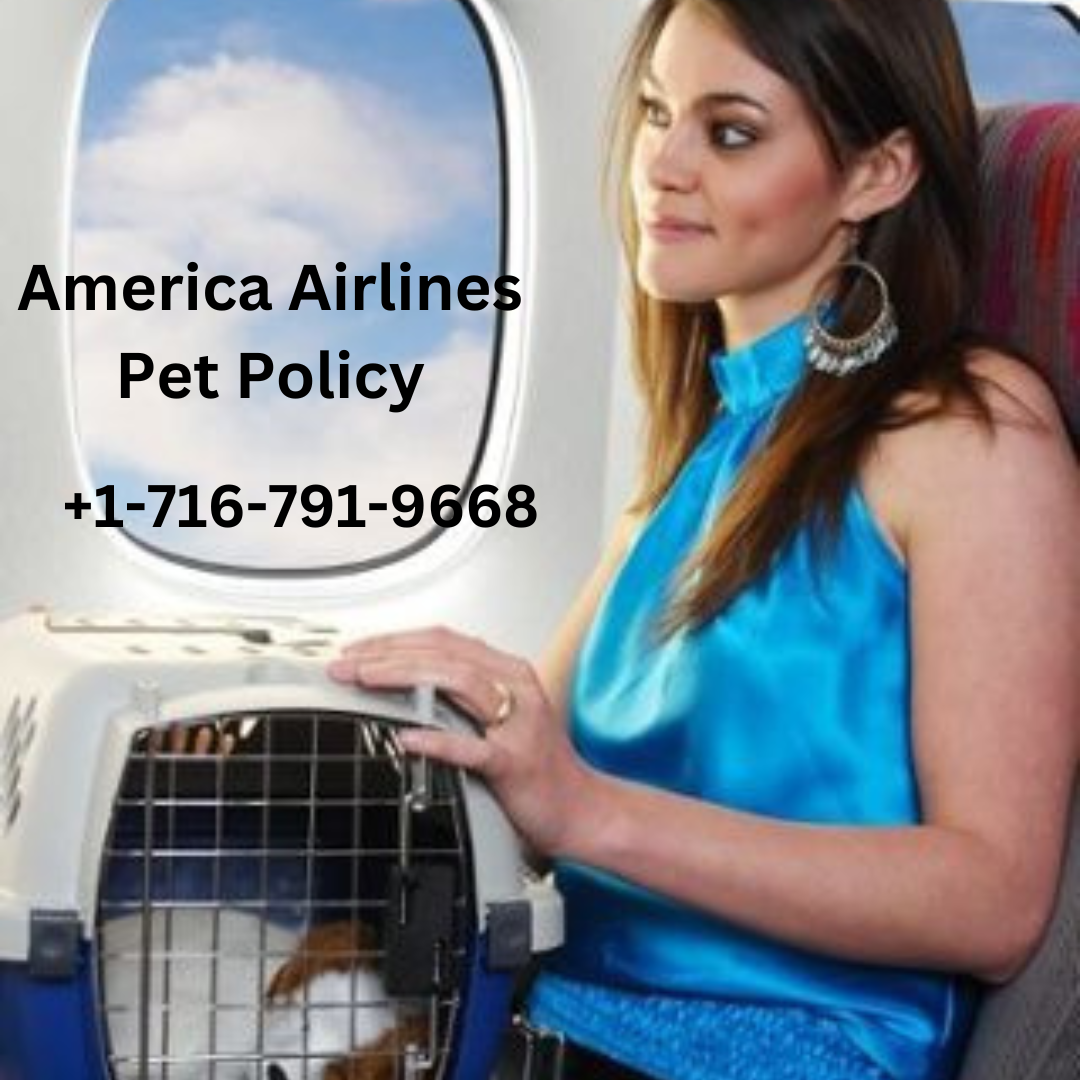 “Your Pet’s Comfort Comes First: Discover American Airlines’ Pet Polic