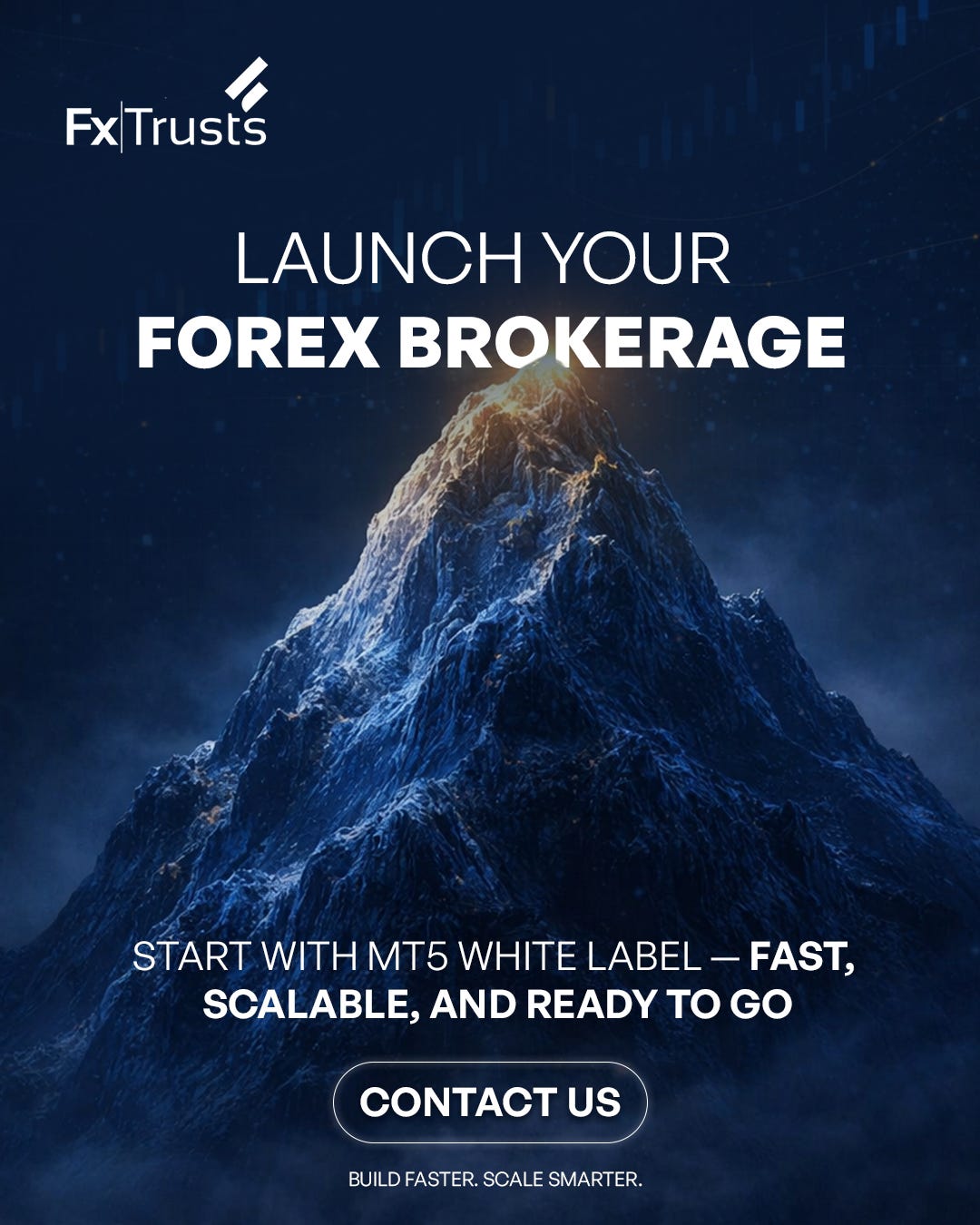 How to Start a Forex Brokerage Using MT5 White Label
