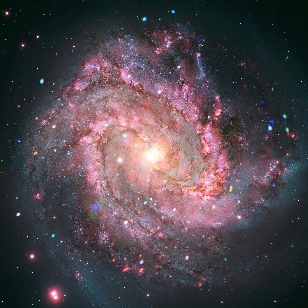 What happens after a star explodes-