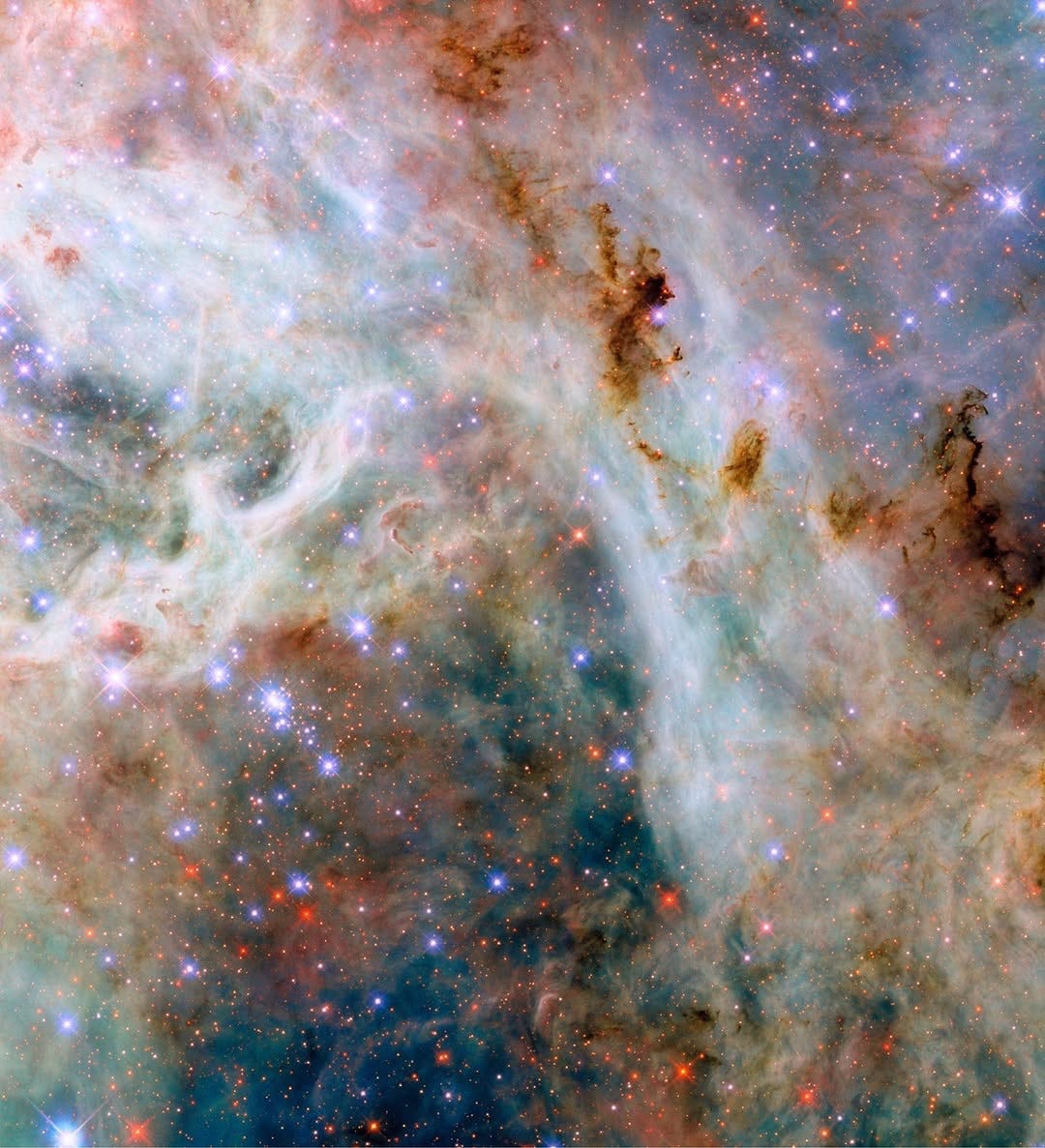 A portion of the Tarantula Nebula