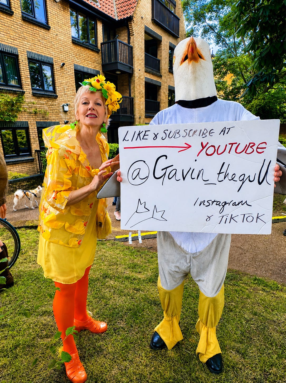 Hundreds of Ducks, One Very Quirky Local Event.