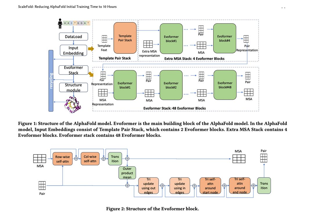 NVIDIA AI Researchers Unveil ScaleFold: Revolutionizing High-Performance Computing in Protein…