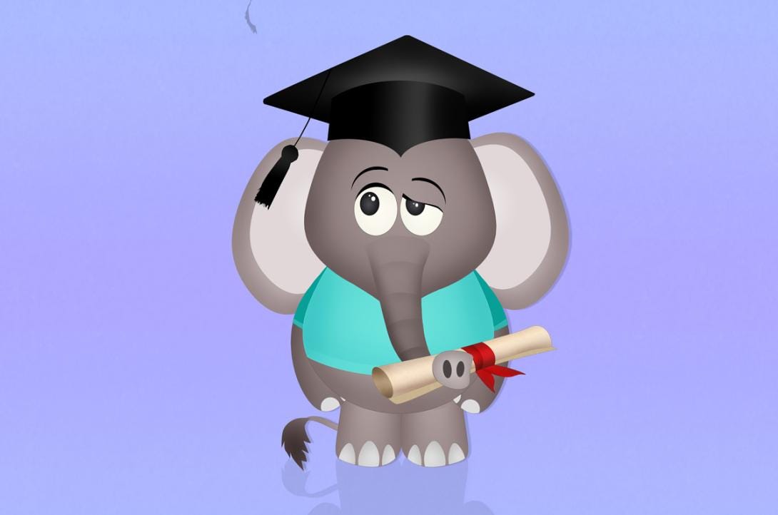 Symfony’s Lyceum ? A look at SensioLabs University