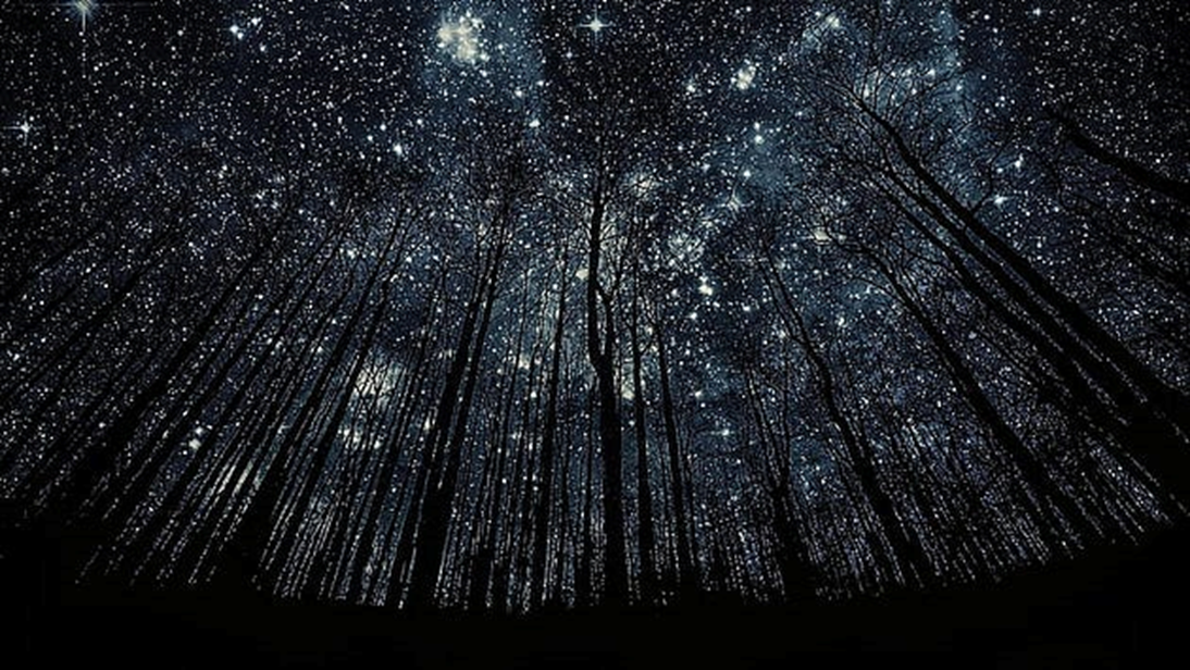 Does Mankind Live In A Dark Forest-