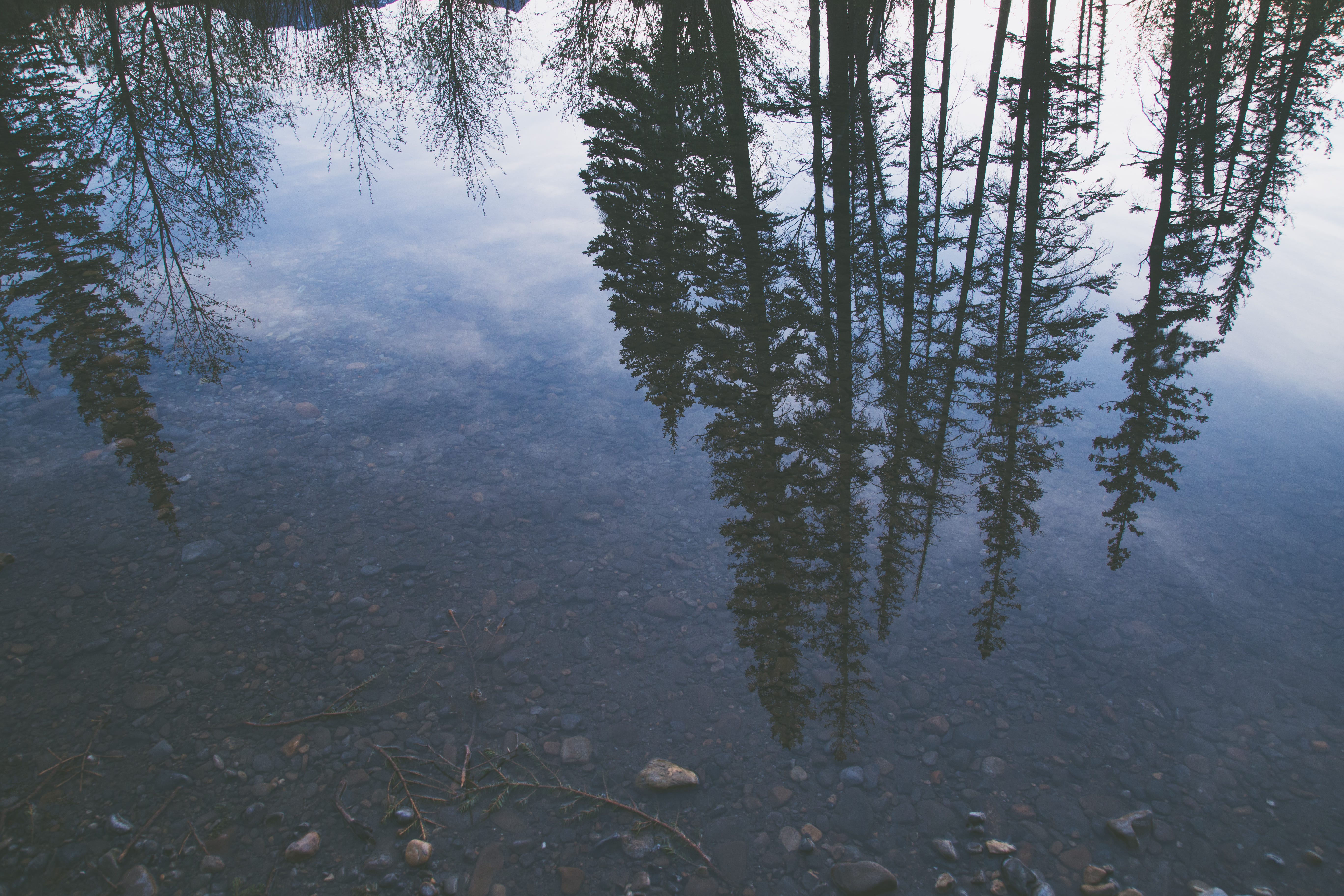 Photo by [Priscilla Du Preez](https://cdn.hashnode.com/res/hashnode/image/upload/v1633809778534/dXiFoko7Y.html) on [Unsplash](https://unsplash.com?utm_source=medium&utm_medium=referral)