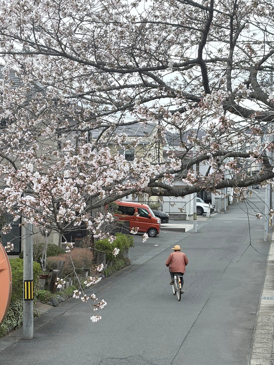 One Month in Japan: Why Being Right Is the Wrong Goal