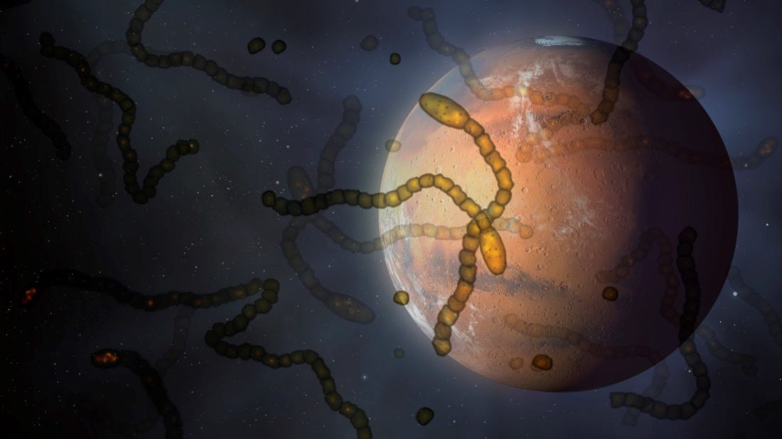 Exploring the Microbial Mysteries Beyond Earth: Microbes in Extraterre