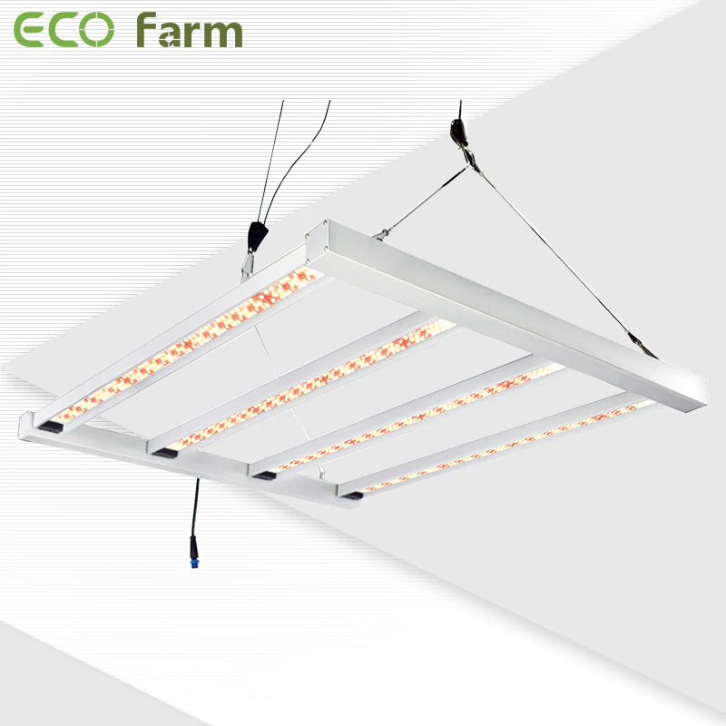 best 300 watt grow light wholesale