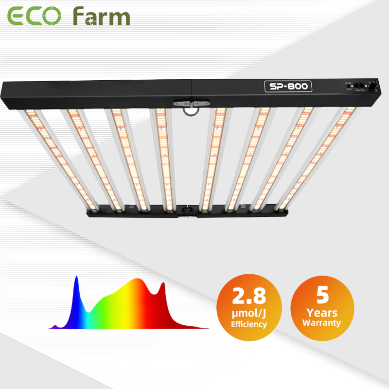 led grow light 4x4 tent