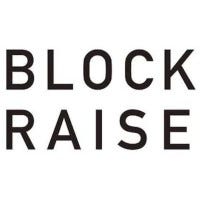 Blockraise, one of the metaverse venture capital companies