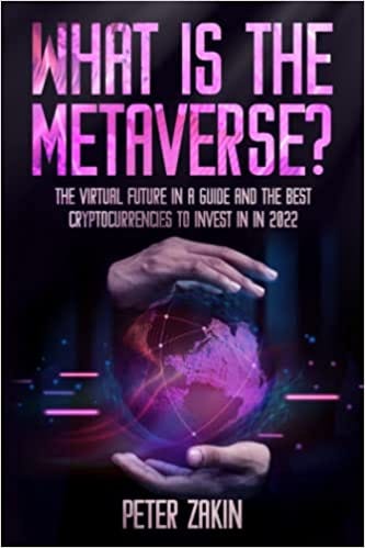 what is the metaverse book