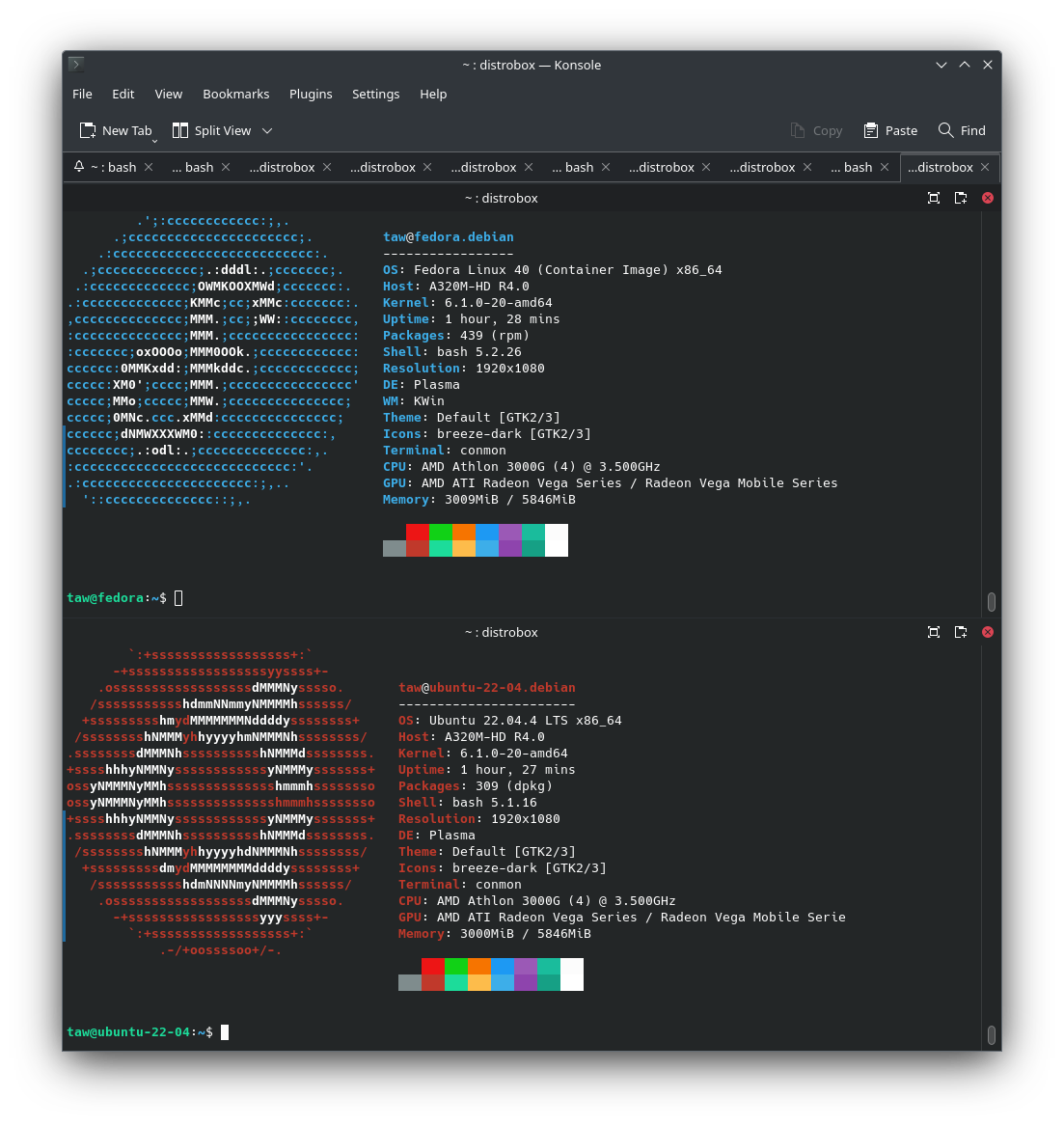 Rodando múltiplas distros Linux com o DistroBox