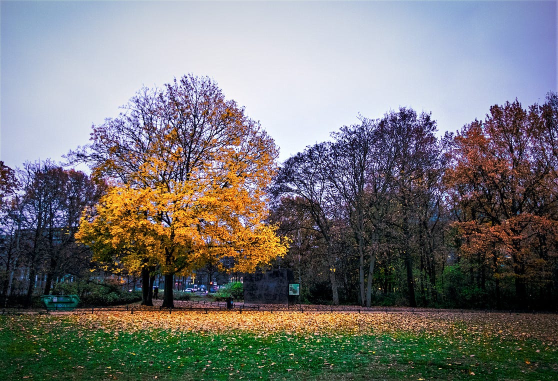 Landscape in park in Berlin, Autumn weather.