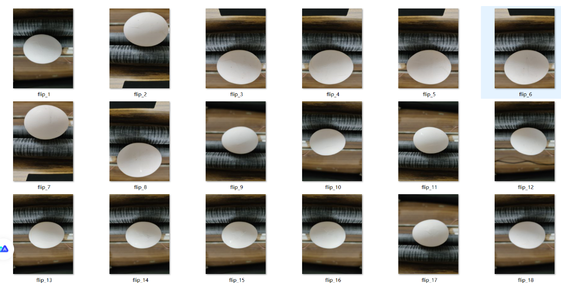 Eggshell crack detection dataset