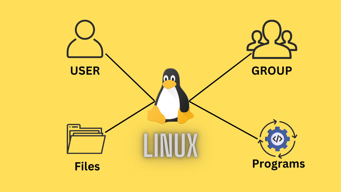 Linux Users and Groups