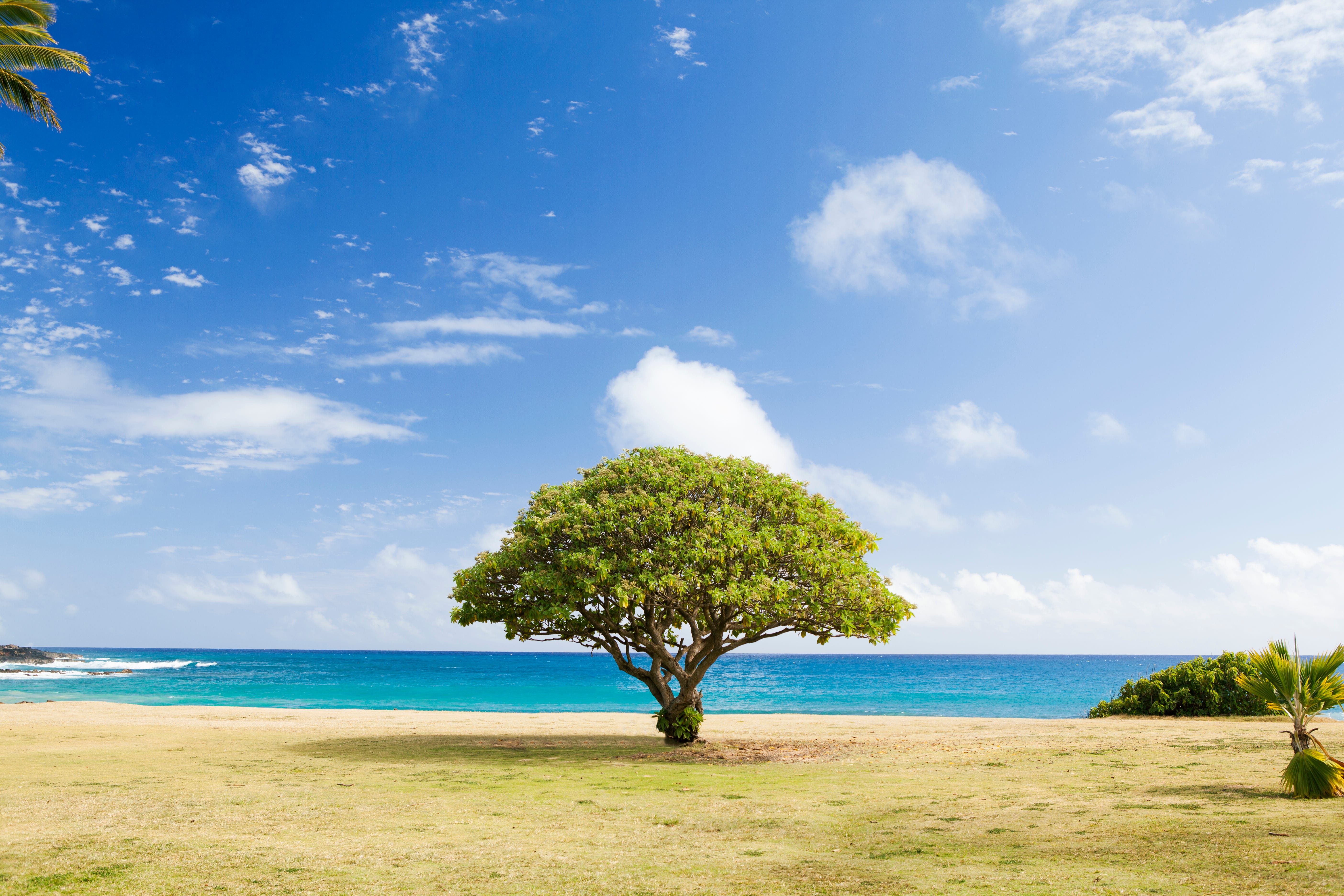 Photo by [Todd Quackenbush](https://unsplash.com/@toddquackenbush?utm_source=medium&utm_medium=referral) on [Unsplash](https://unsplash.com?utm_source=medium&utm_medium=referral)