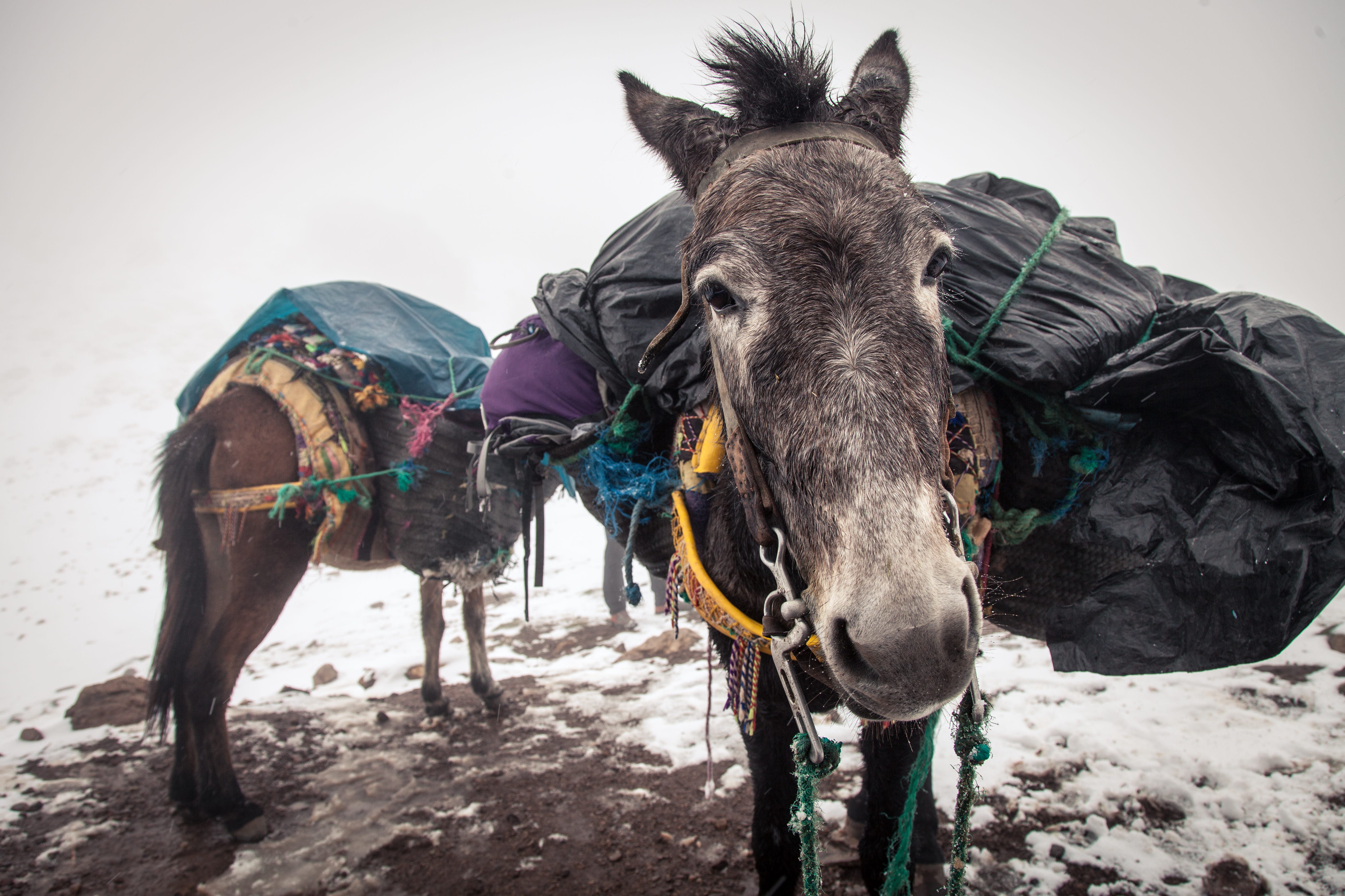 Photo by [Ron Hansen](https://unsplash.com/@ron_hansen?utm_source=medium&utm_medium=referral) on [Unsplash](https://unsplash.com?utm_source=medium&utm_medium=referral)