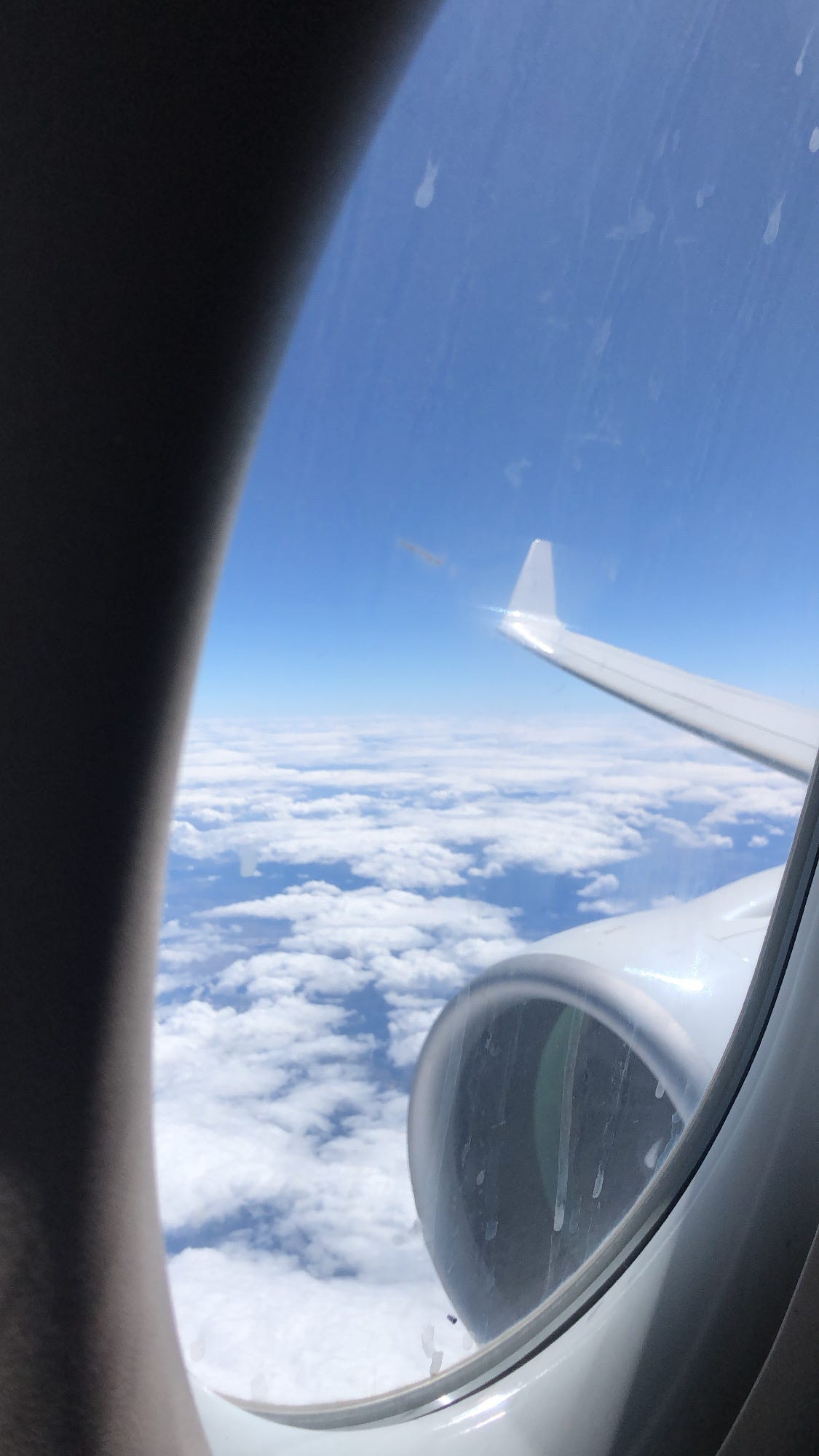 The Plane That Was Supposed to Change My Life The Plane That Was Supposed to Change My Life