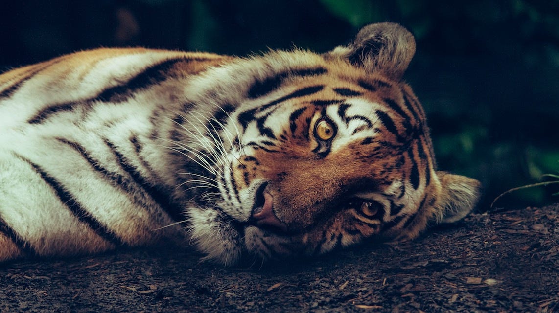 Linux Performance Optimization: C10K and C1000K Problems