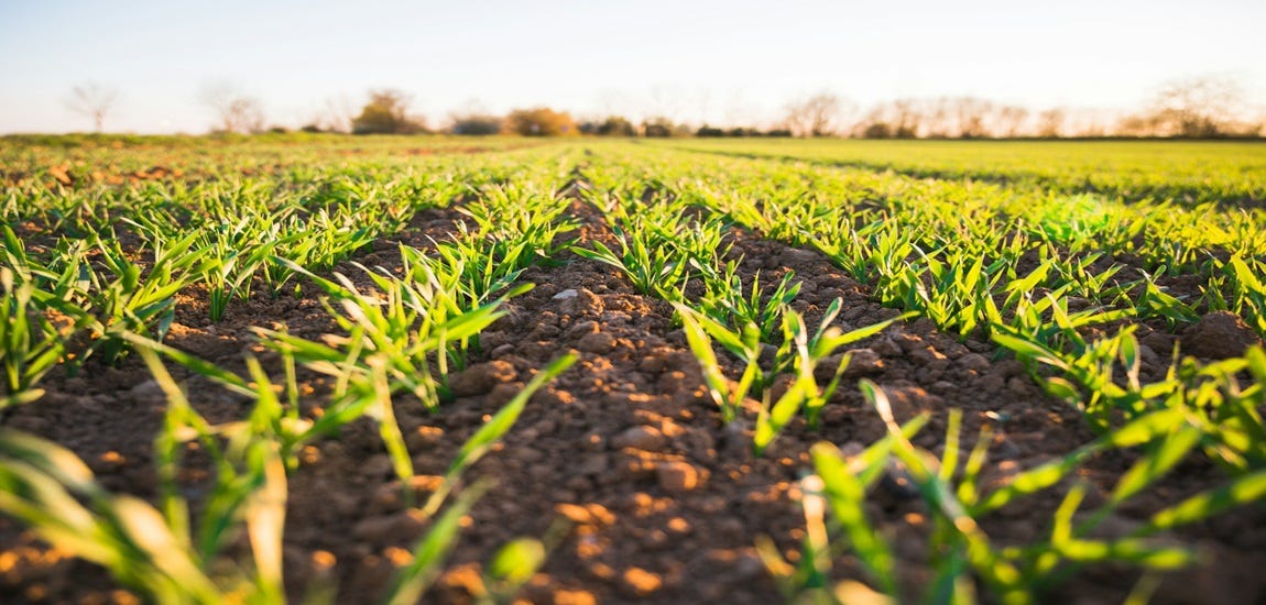 AI In Agri-Business