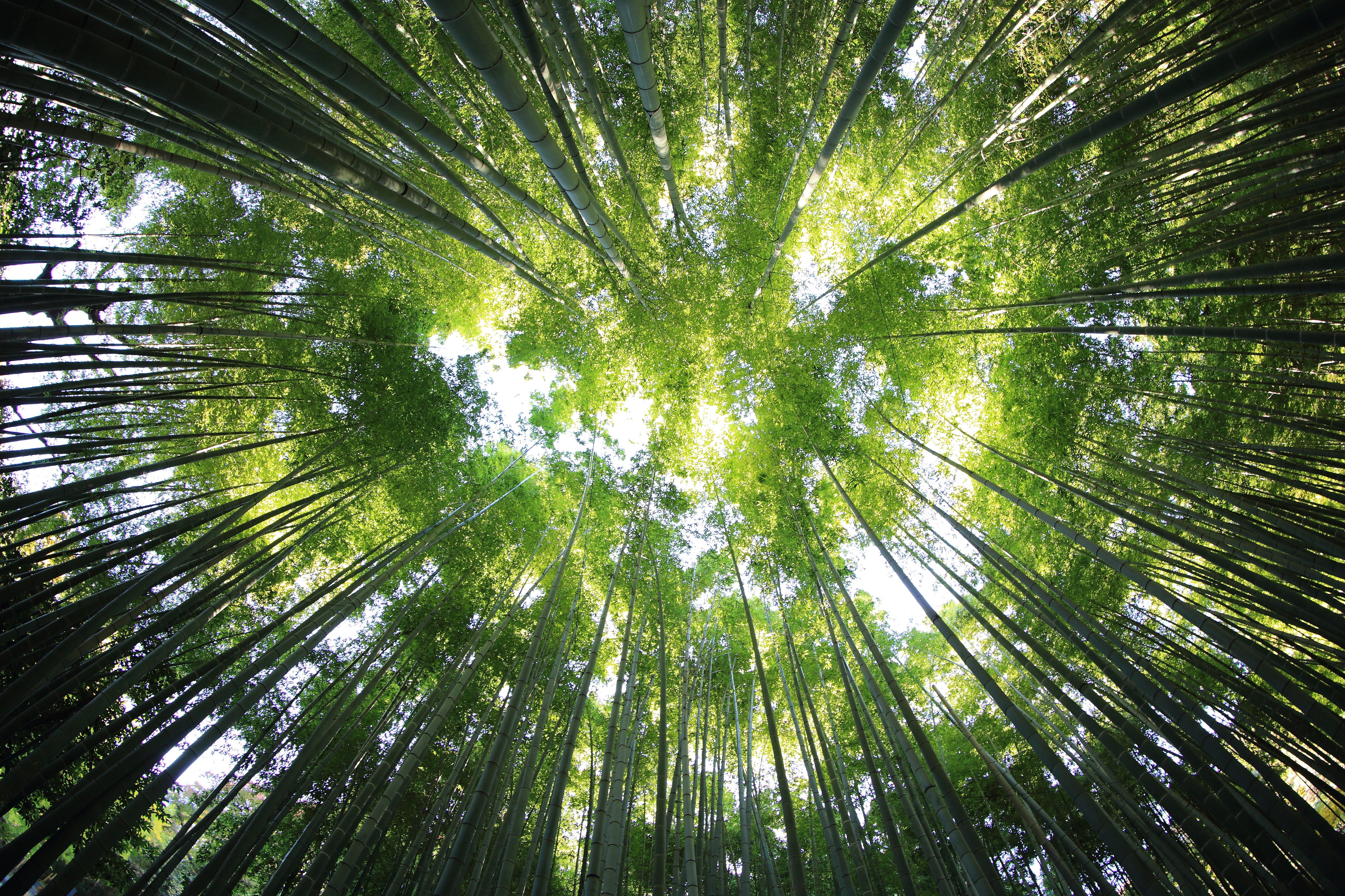 Photo by [kazuend](https://cdn.hashnode.com/res/hashnode/image/upload/v1627479804849/leBZQWA_z.html) on [Unsplash](https://unsplash.com?utm_source=medium&utm_medium=referral)
