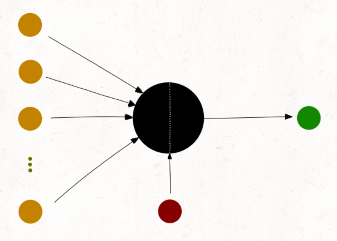 AI Fundamentals: What is a Neuron?
