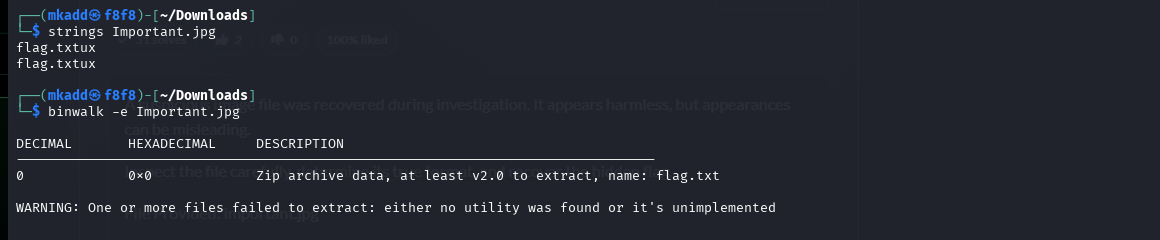 SecLeaf 2026 Challenge Forense: Forgotten_snapshot