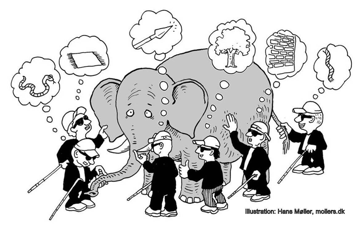 Image result for holistic elephant story