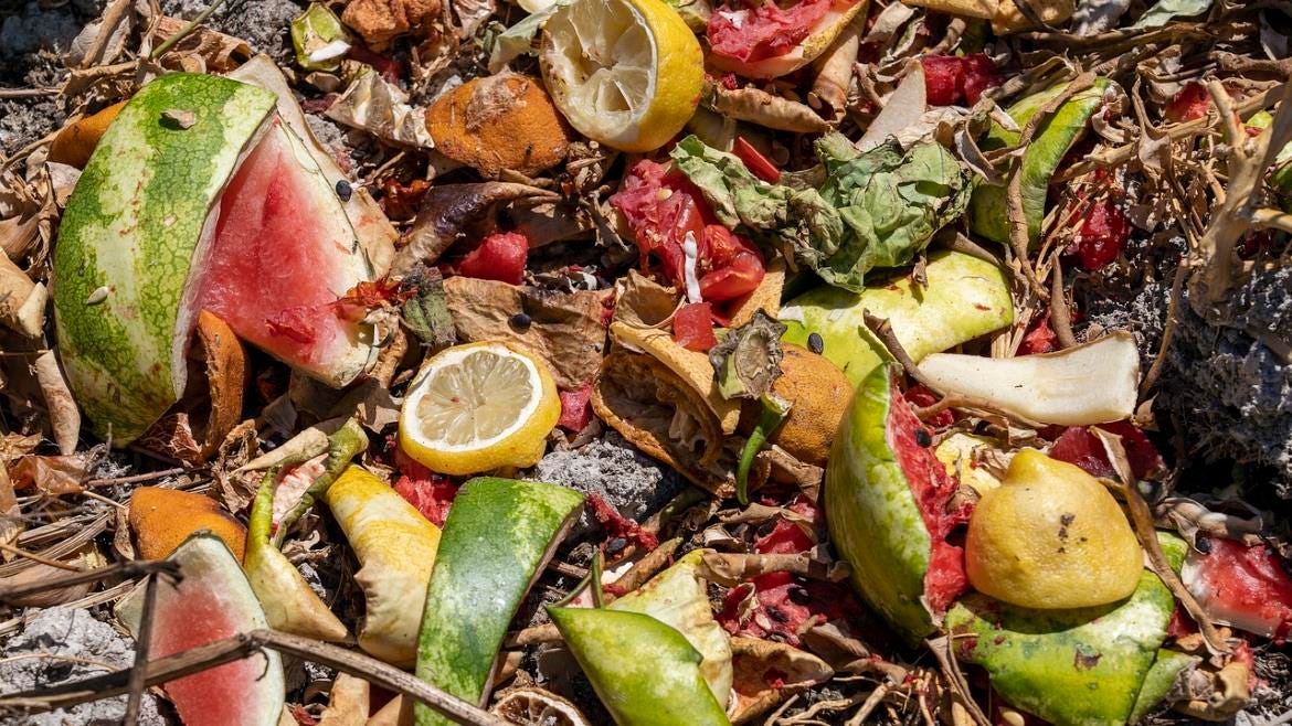 Report: Over 33% of All Food Produced Globally is Wasted