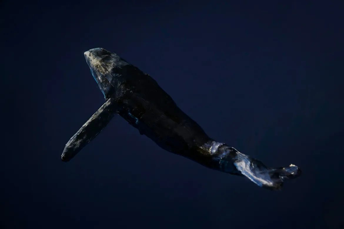 What is Whaling? How and Why Scammers Target Top Management