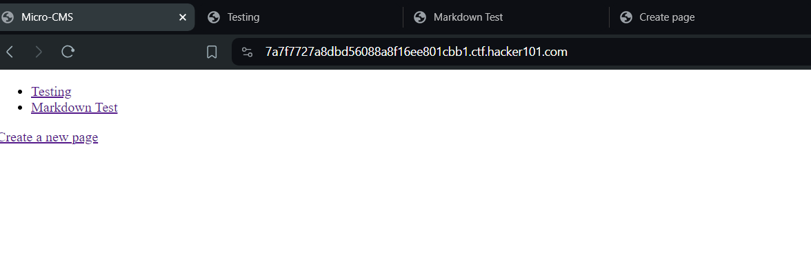 Hacker101: Micro-CMS v1
