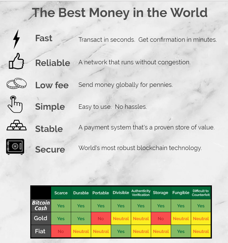 Bitcoin Cash Simplified Coin Pupil Medium - 