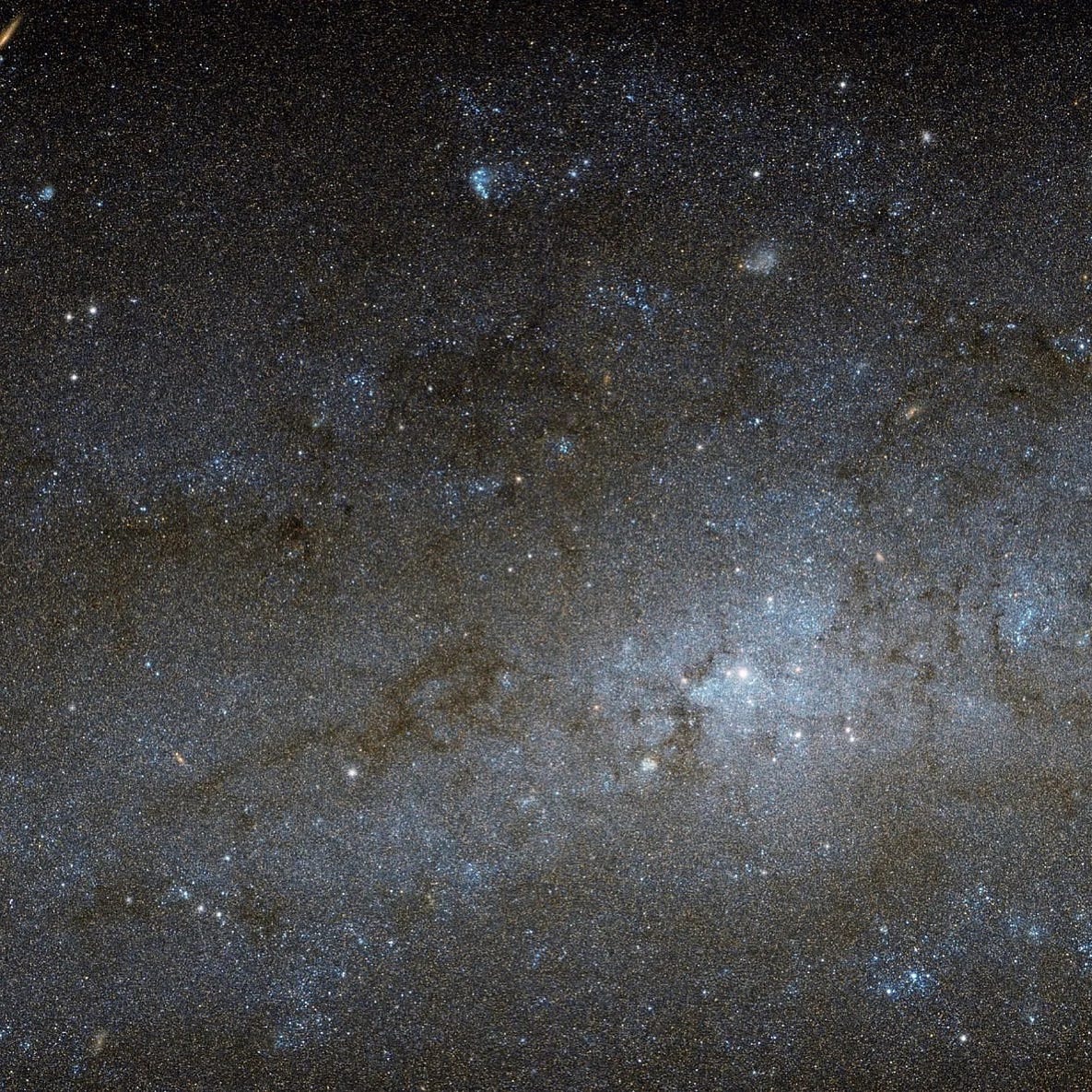 NGC 247
