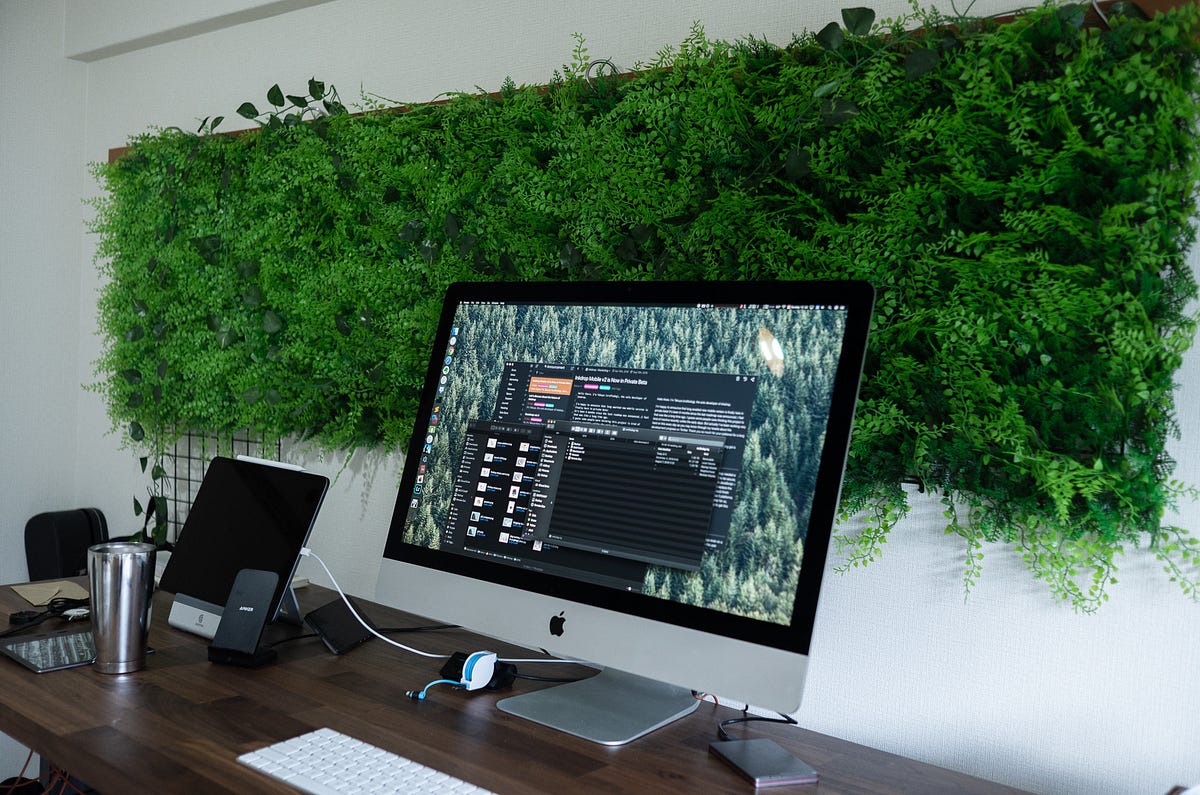 Built DIY grass wall in front of my desk to get relaxed