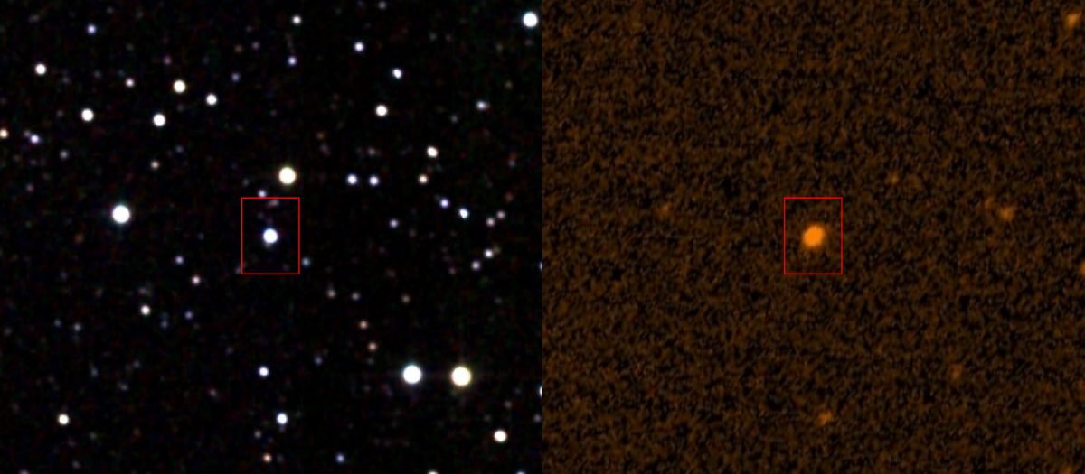 The star with rare fluctuations: Tabby’s Star