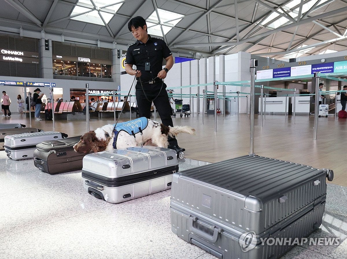 Increase in drug trafficking attempts into South Korea in 2024