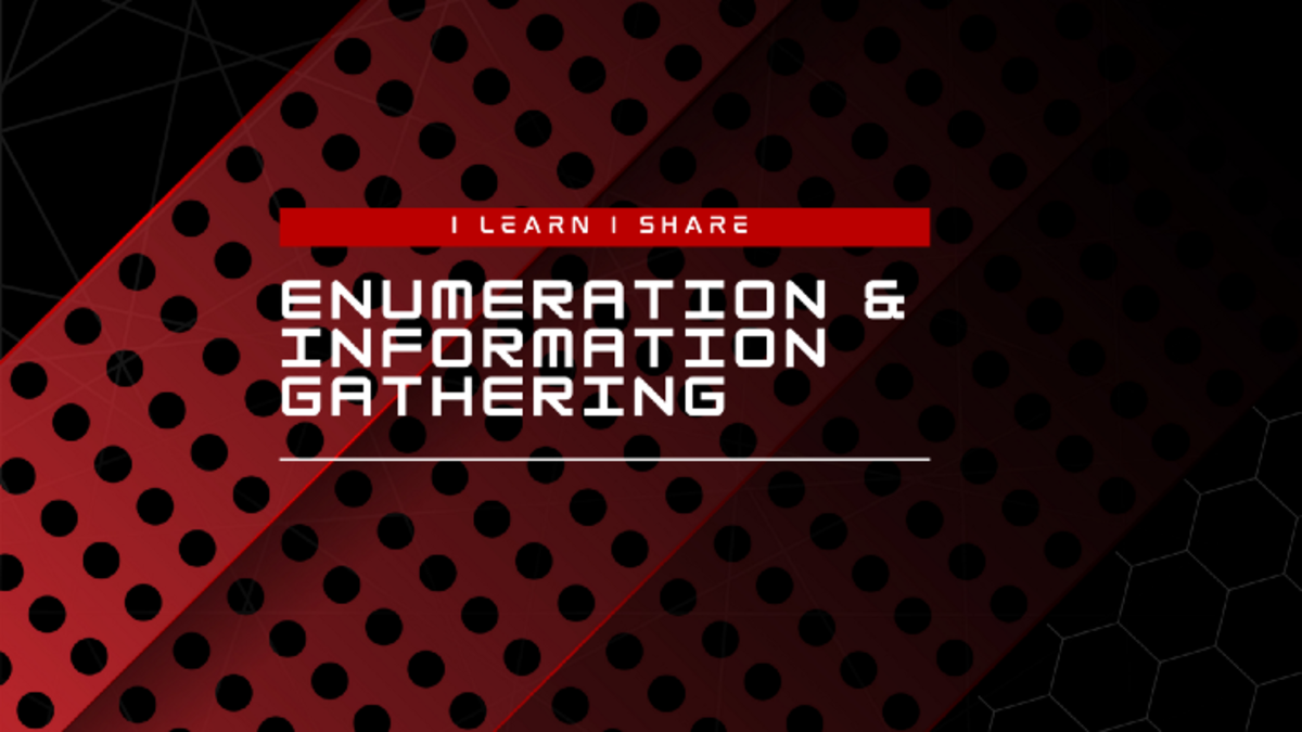 Website Enumeration and Information Gathering [Part 2]