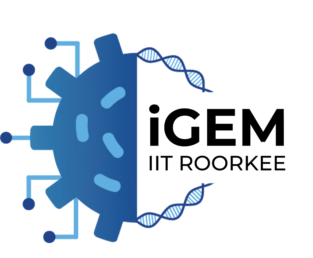 Team iGEM IIT Roorkee