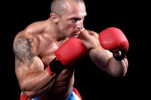 ultimate fighter