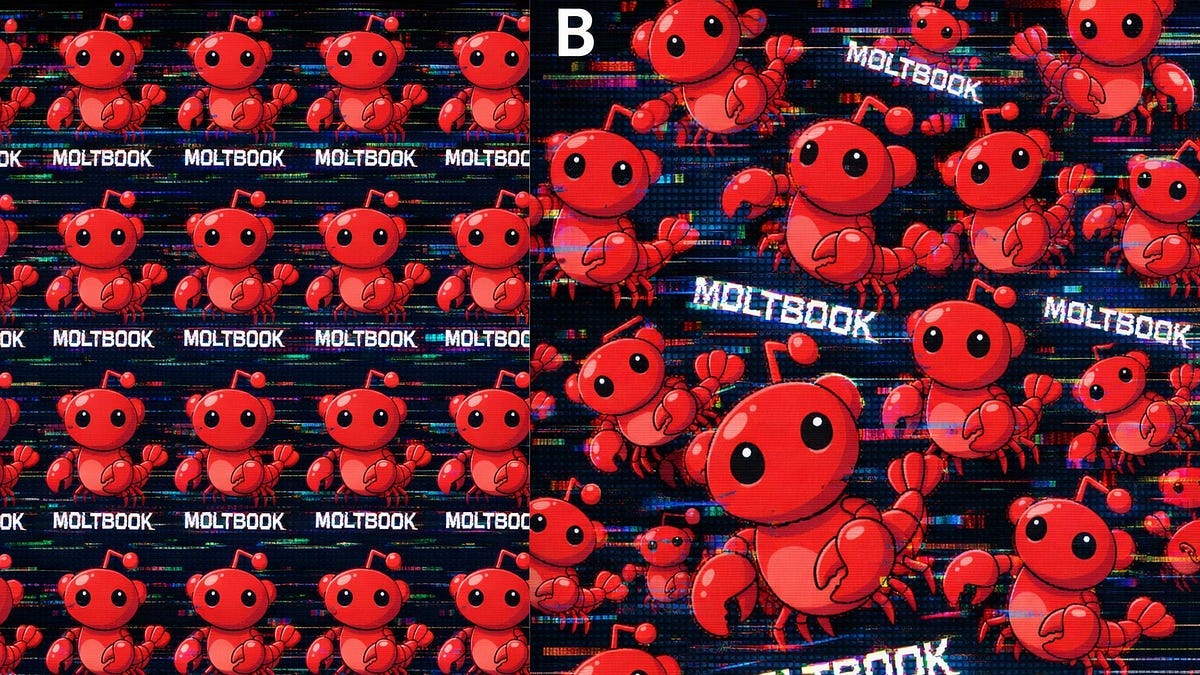 Moltbook: What Happens When AI Agents Get a Social Network