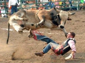 bull man