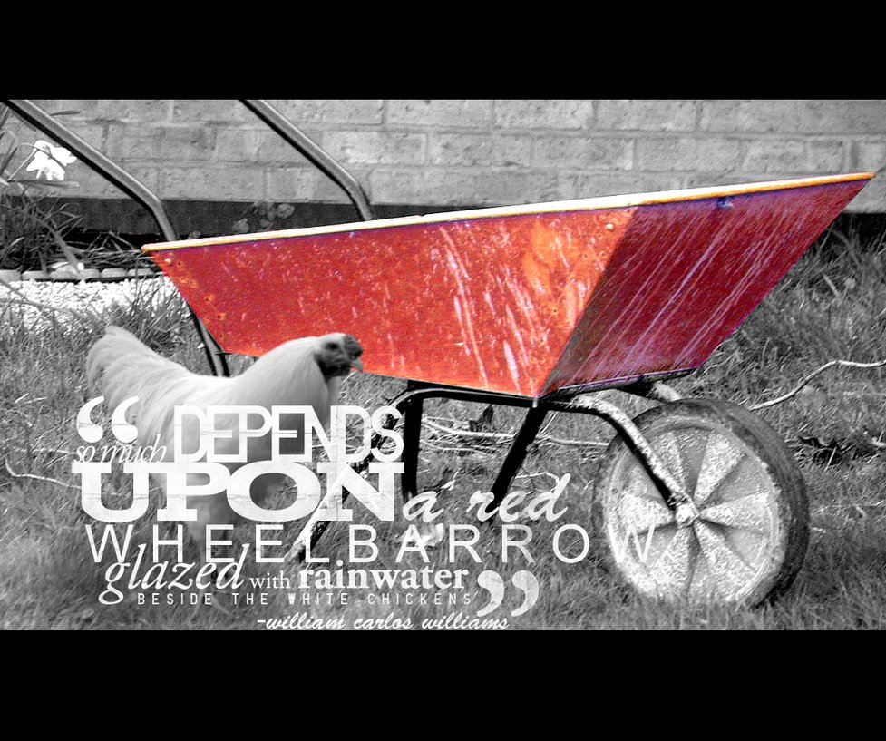 The Red Wheelbarrow Tricia Haas Medium