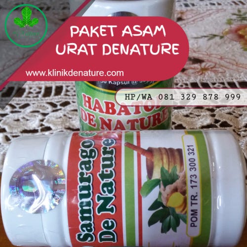 Tanaman Obat Asam Urat Alami - Mari Hidup Sehat