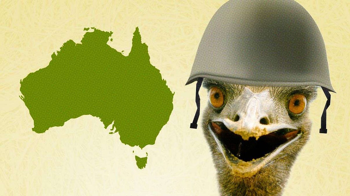 Remembering the Great Emu War - The Coffeelicious - Medium